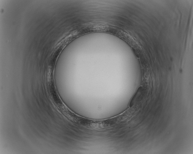 X0000080130744200701051419