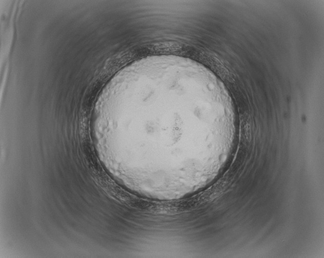 X0000080130745200701051419