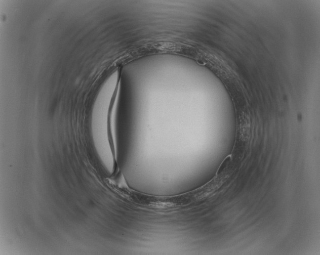 X0000080130748200701051419