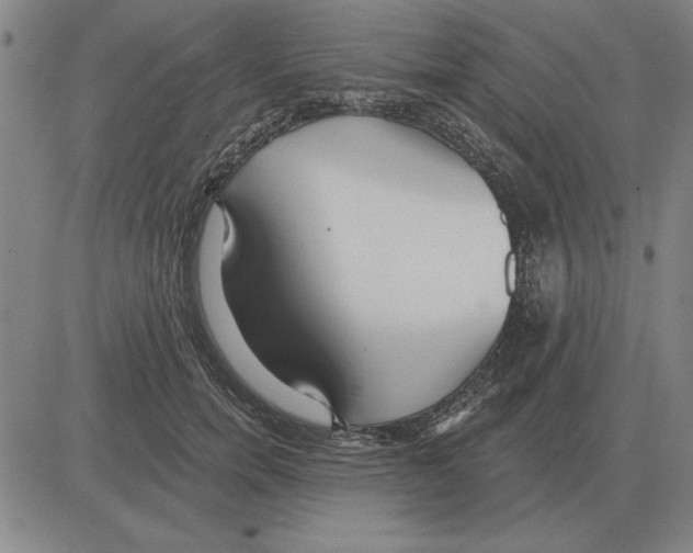 X0000080130750200701051419