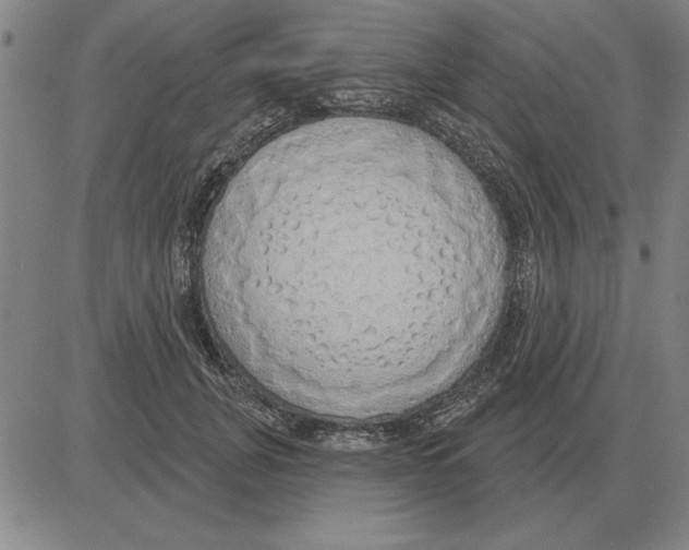 X0000080130751200701051419
