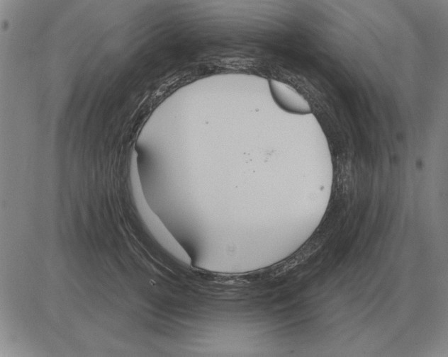 X0000080130752200701051419