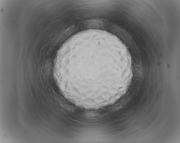 X0000080130753200701051419