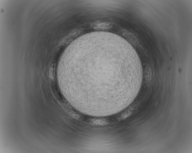 X0000080130755200701051419