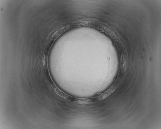X0000080130758200701051419