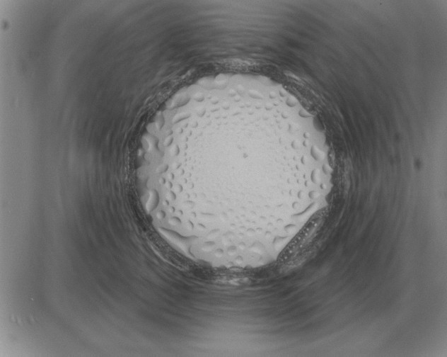 X0000080130760200701051419