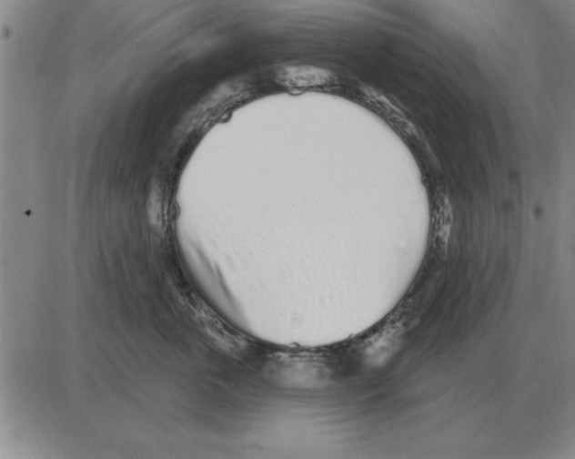 X0000080130763200701051419