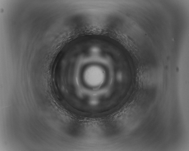 X0000080130769200701051418