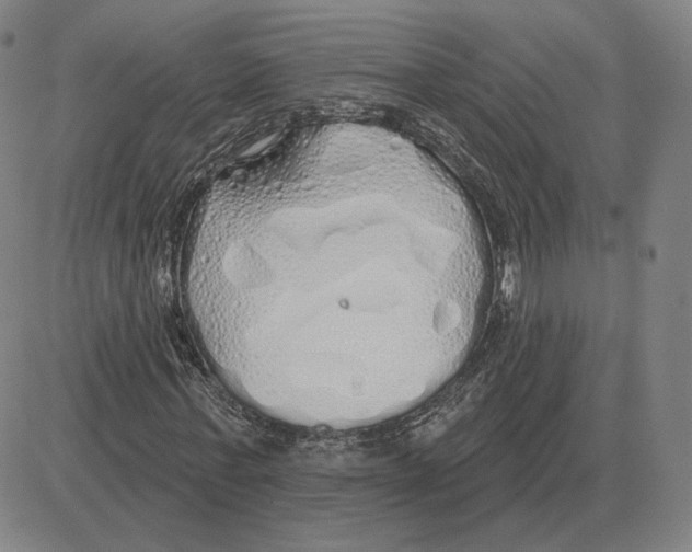 X0000080130771200701051418