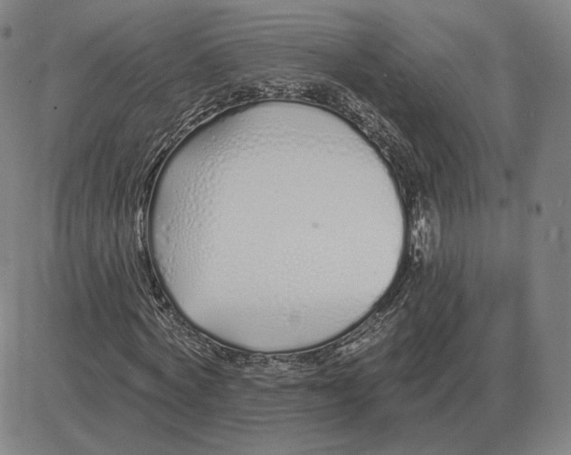 X0000080130772200701051418