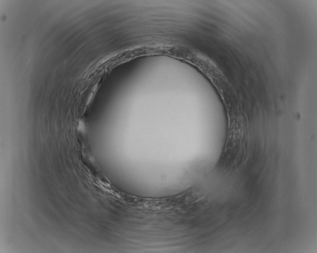 X0000080130773200701051418