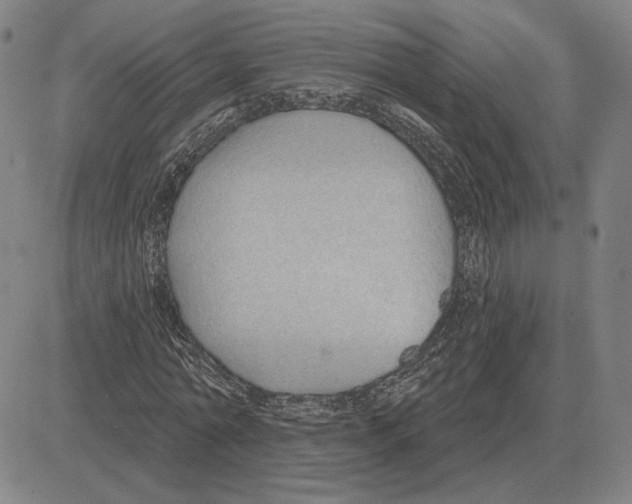 X0000080130774200701051418