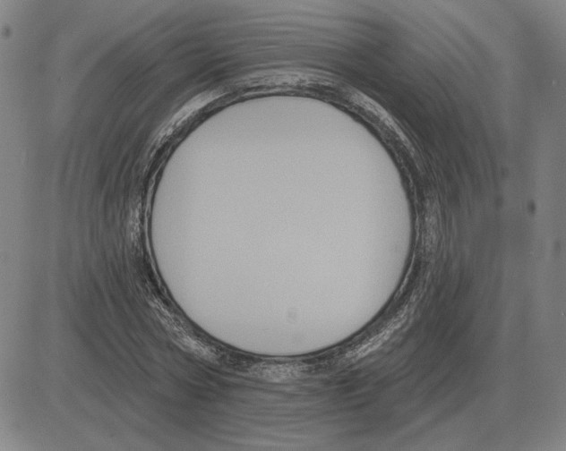 X0000080130778200701051418