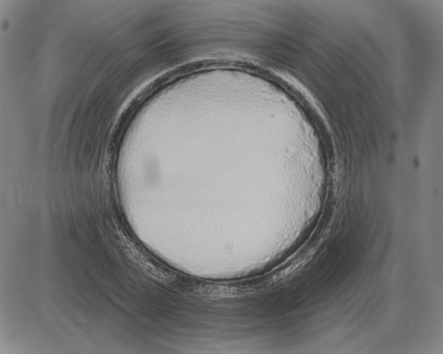 X0000080130783200701051418