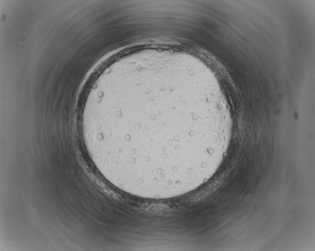 X0000080130784200701051418