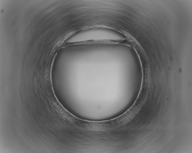 X0000080130785200701051418