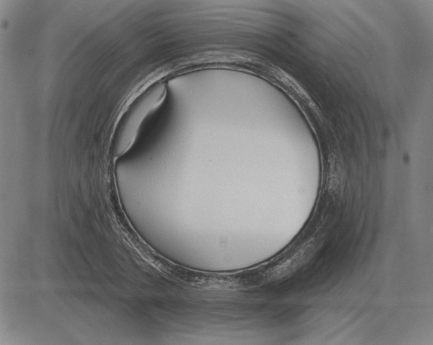 X0000080130786200701051418