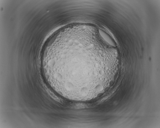 X0000080130787200701051418