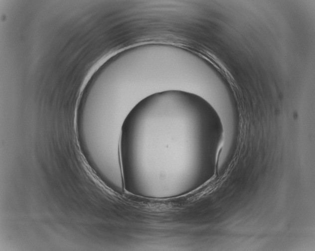 X0000080130788200701051418