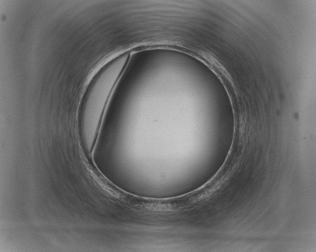 X0000080130789200701051418