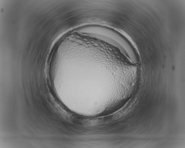 X0000080130791200701051418
