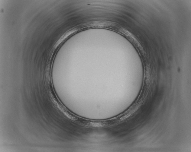 X0000080130794200701051418