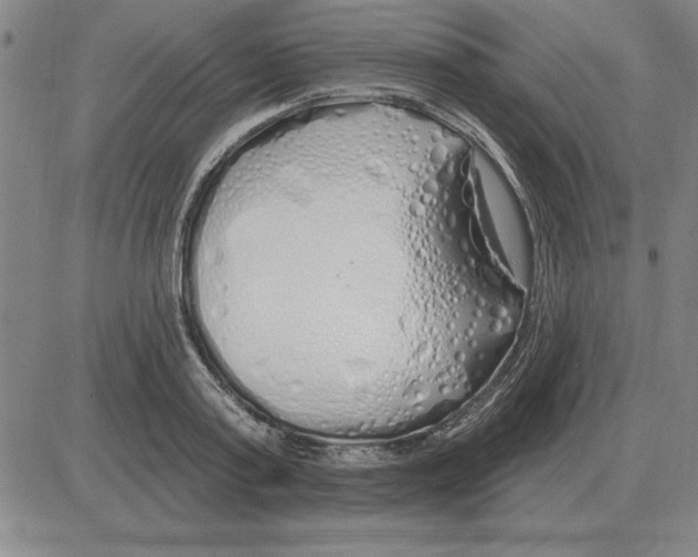 X0000080130795200701051418