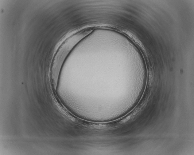 X0000080130797200701051418