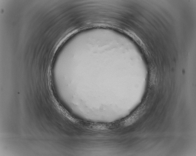 X0000080130798200701051418