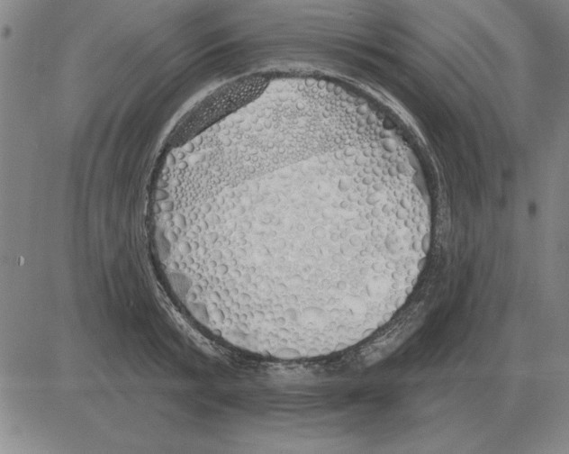 X0000080130799200701051418