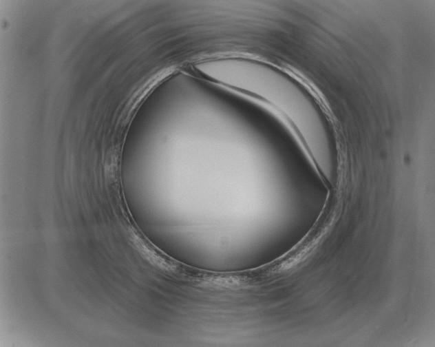 X0000080130801200701051418