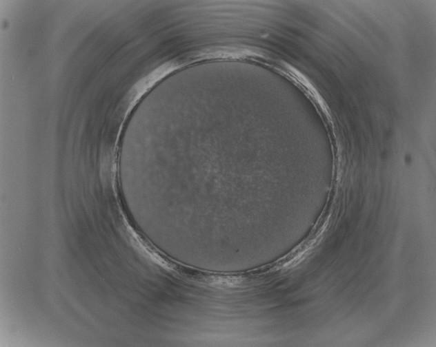 X0000080130802200701051418