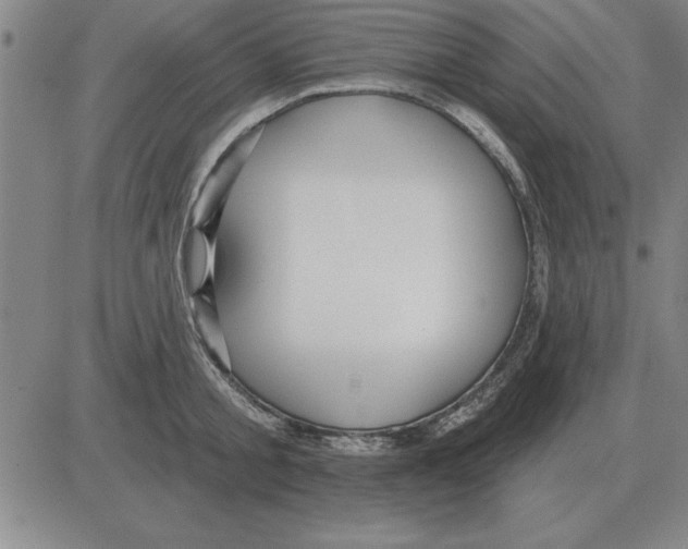 X0000080130805200701051418