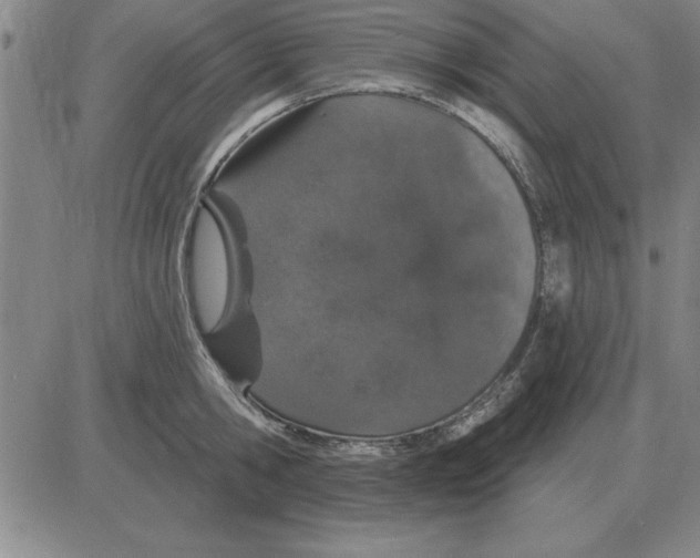 X0000080130806200701051418