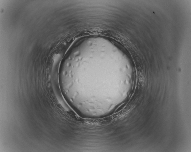 X0000080130818200701051417