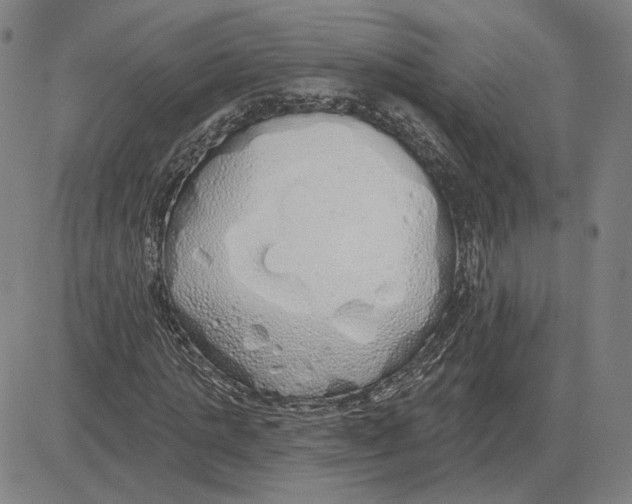 X0000080130821200701051417