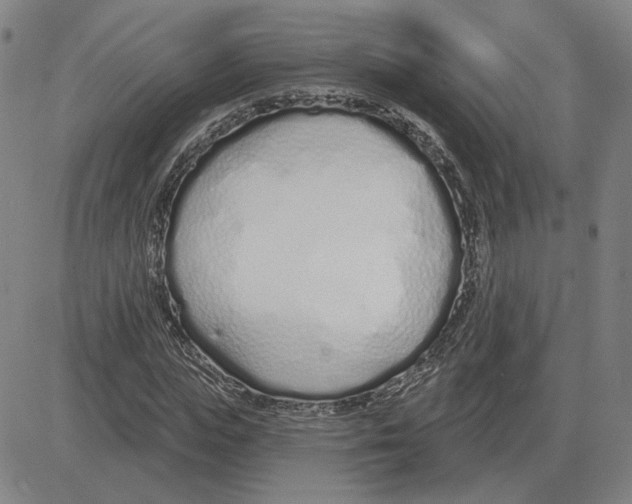 X0000080130823200701051417