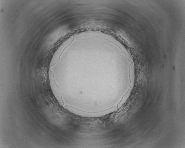 X0000080130824200701051417