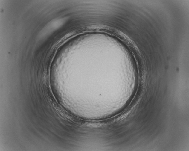 X0000080130825200701051417