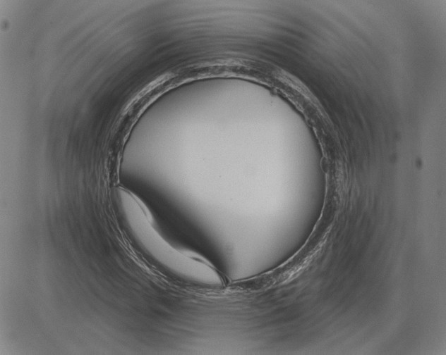 X0000080130826200701051417