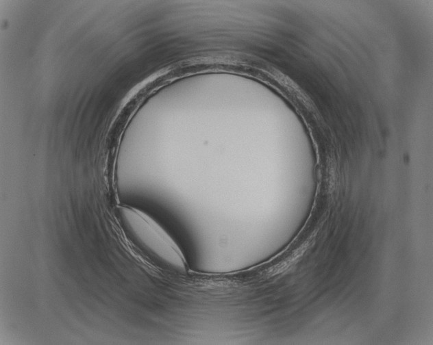 X0000080130830200701051417