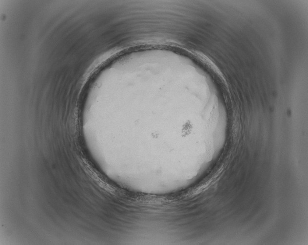 X0000080130831200701051417