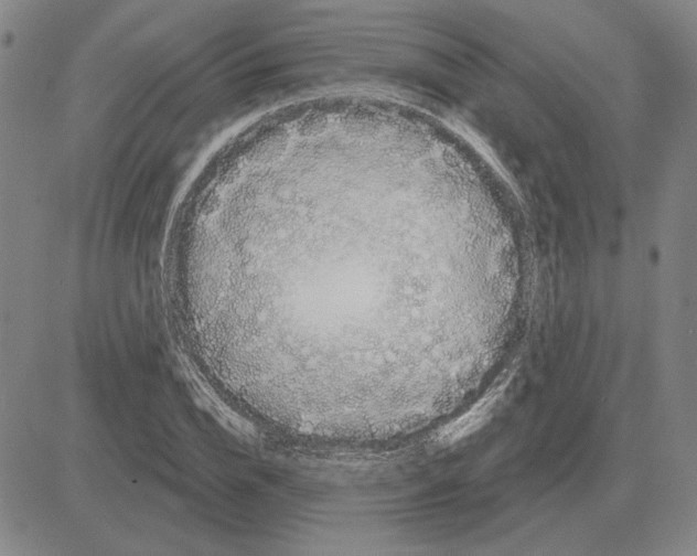 X0000080130832200701051417