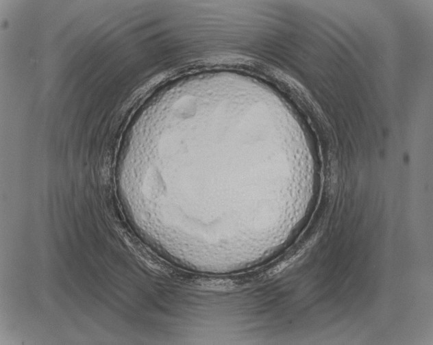 X0000080130833200701051417