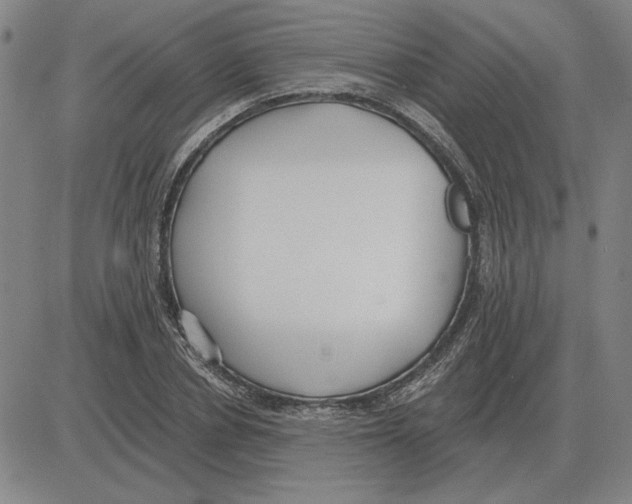 X0000080130834200701051417