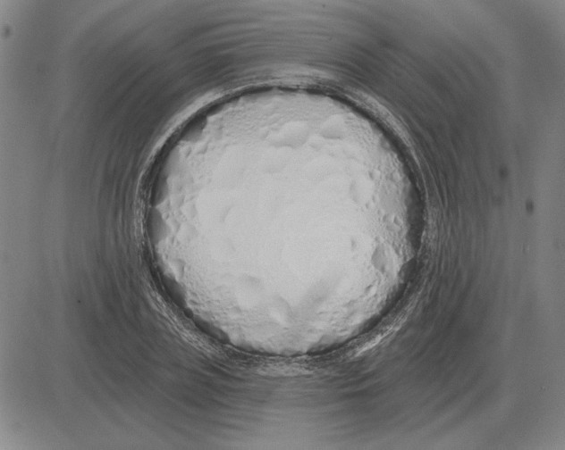 X0000080130835200701051417