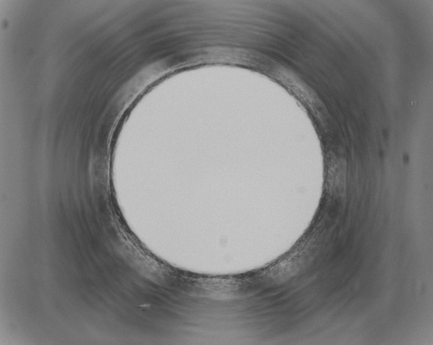 X0000080130836200701051417
