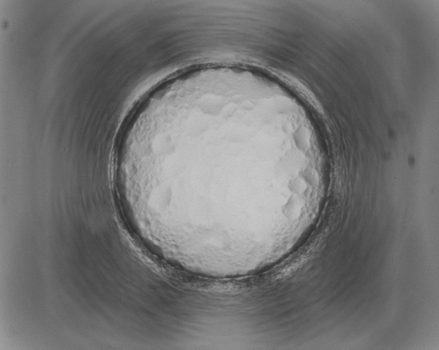 X0000080130839200701051417