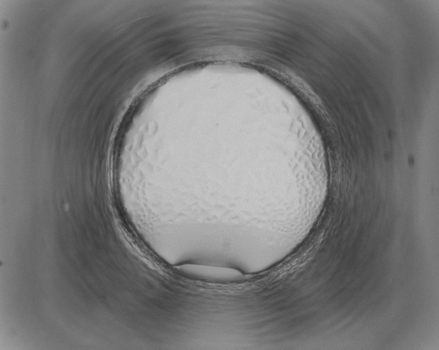 X0000080130840200701051417