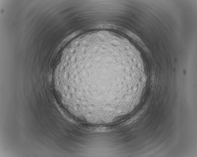 X0000080130841200701051417